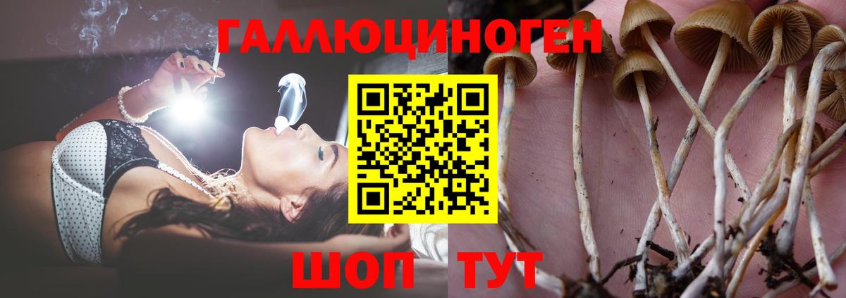 Галлюциногенные грибы мухоморы Кузнецк